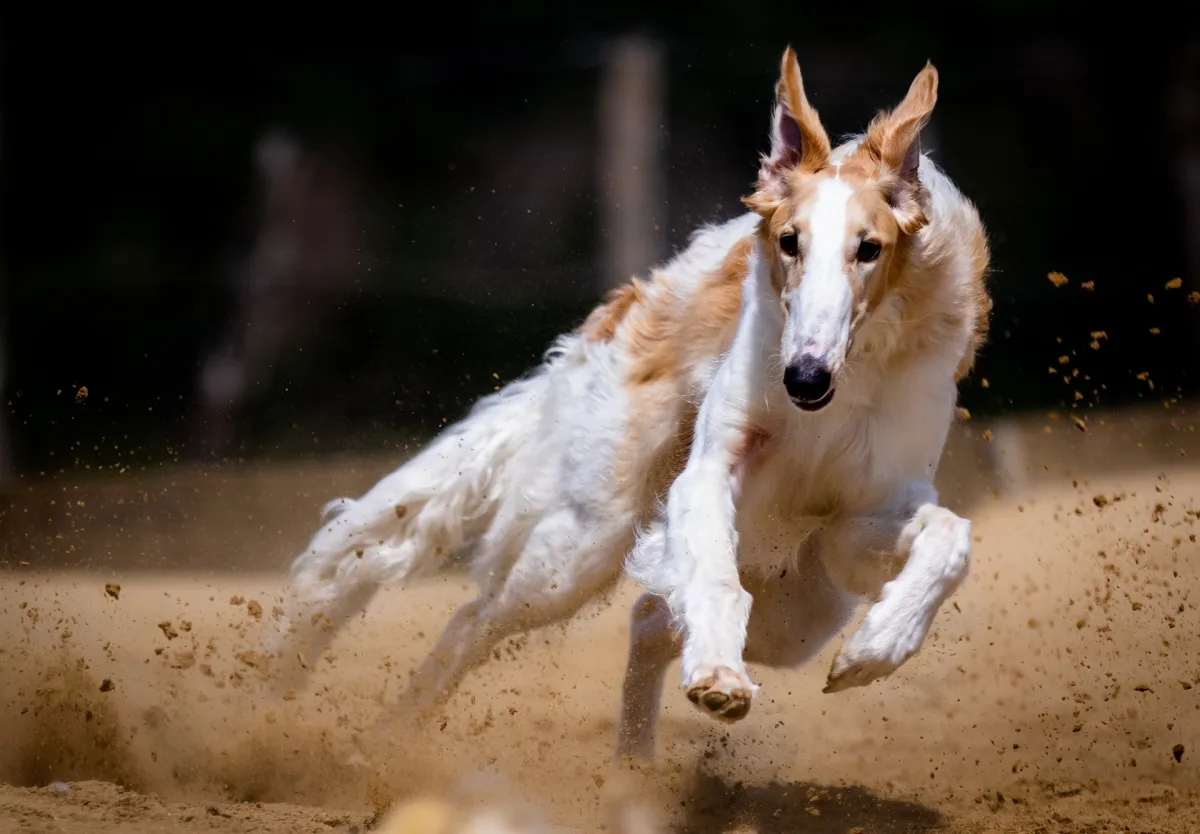 Cours de photographie sur la vitesse - Figer le mouvement de l'eau