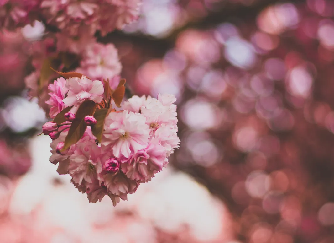 photography course - light for beginner