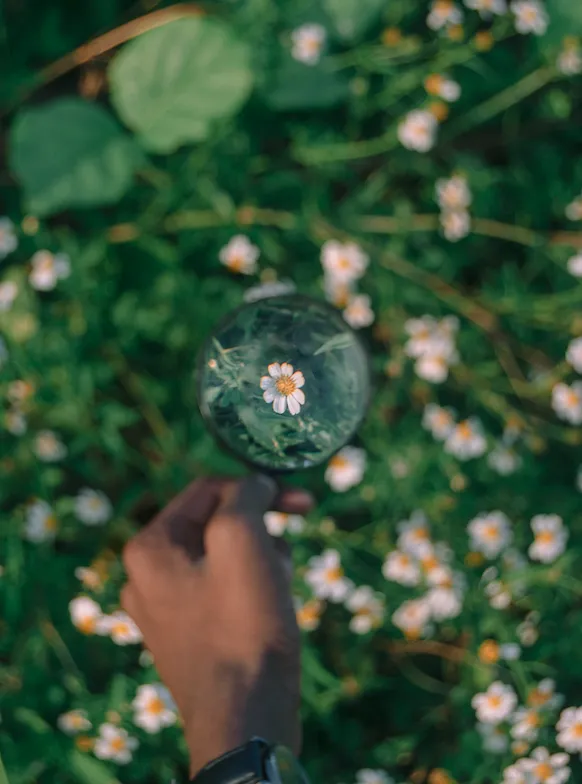 photography course - Depth of field for beginner