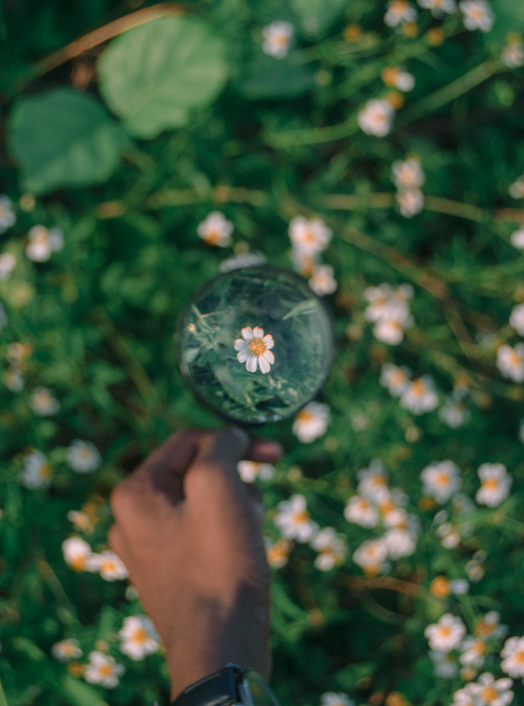 Course No 2: Aperture and Depth of field (Beginner level)